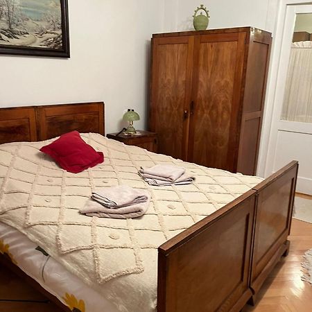 Emese Central Vintage Apartment Târgu-Mureş Zewnętrze zdjęcie