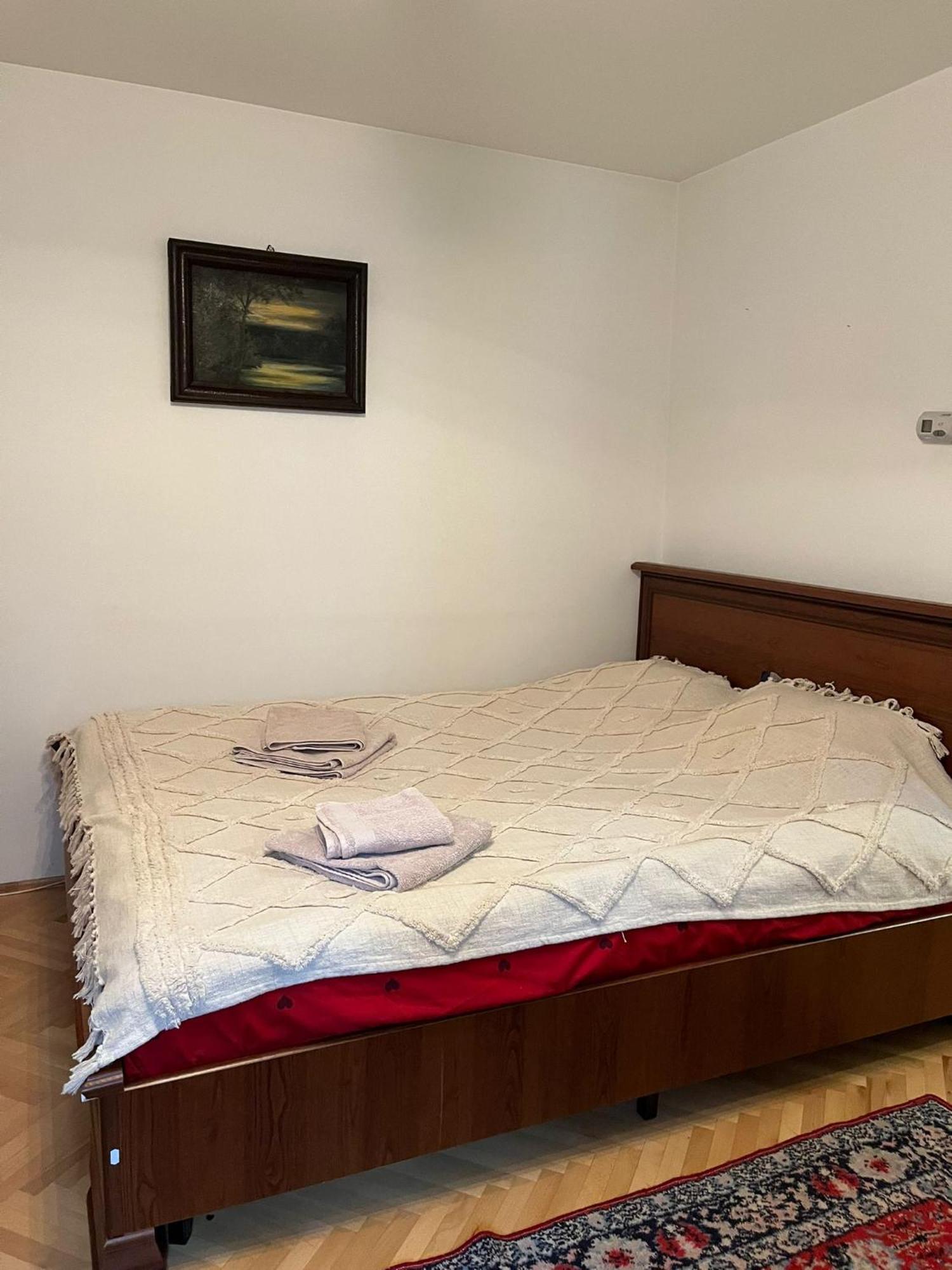 Emese Central Vintage Apartment Târgu-Mureş Zewnętrze zdjęcie