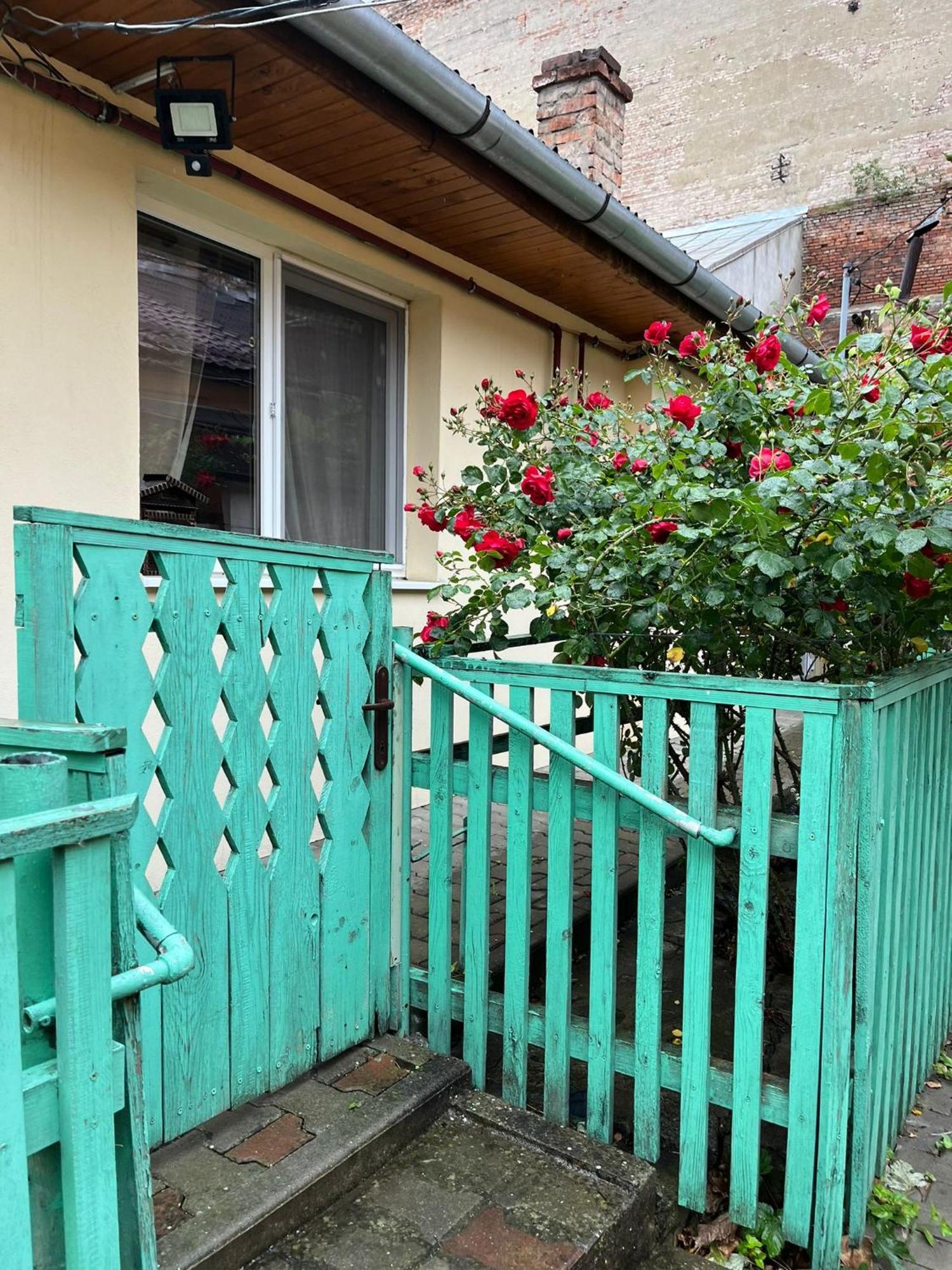 Emese Central Vintage Apartment Târgu-Mureş Zewnętrze zdjęcie